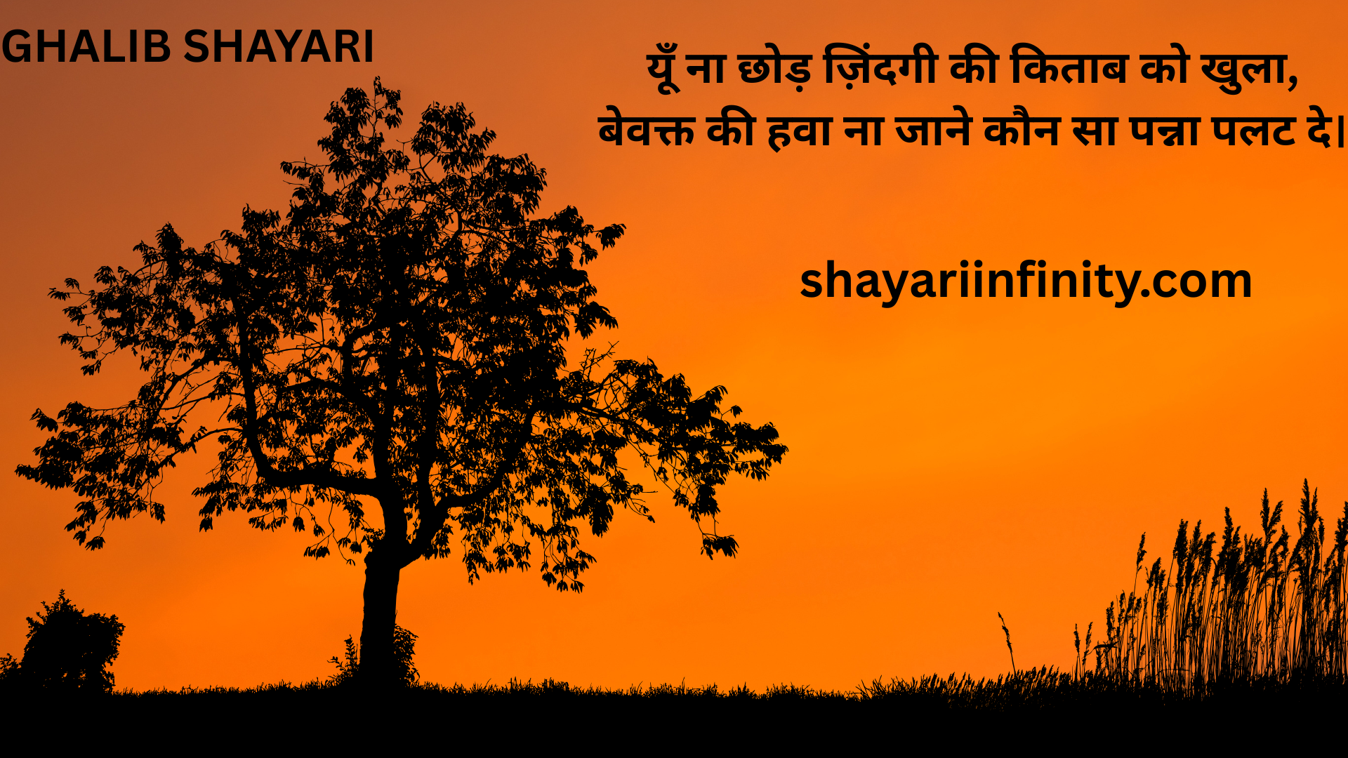 Ghalib Shayari
