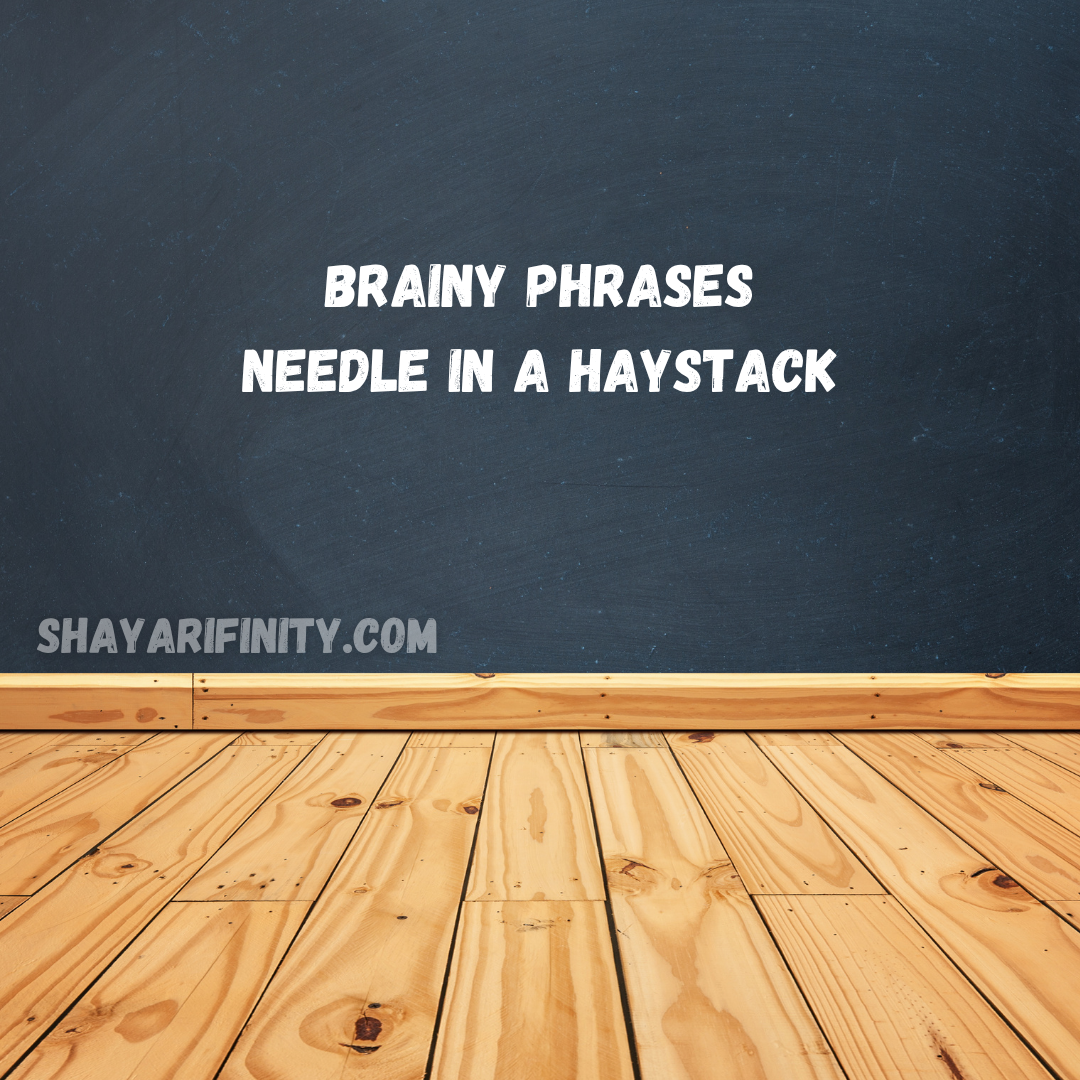 Brainy Phrases Needle in a haystack
