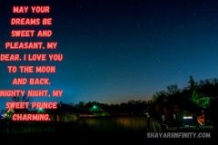 As the darkness of night follows, may you comfort and rest well. Sending you warm wishes and my love on your way. Sleep tight.