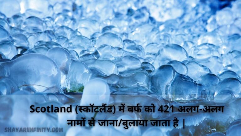 50 Amazing Facts In Hindi