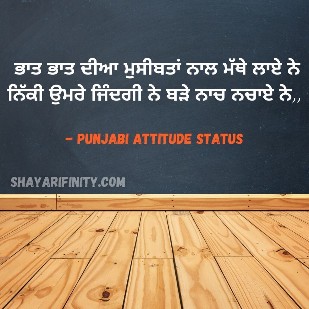Punjabi Status Attitude